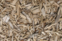 biomass boilers Morcombelake